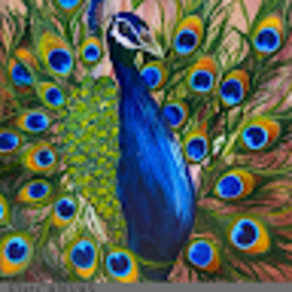 Meet your Posher, Char